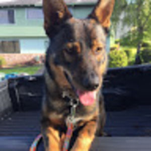 Meet your Posher, Kerry